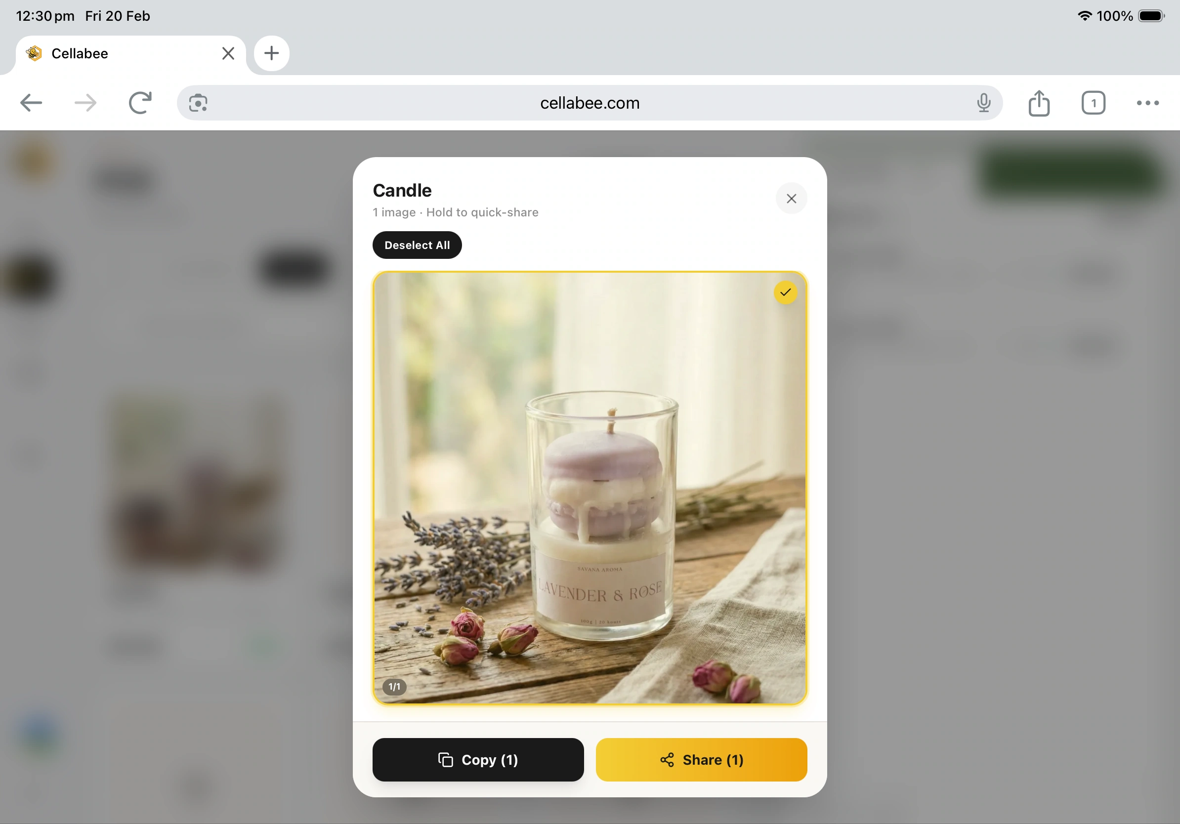 Everything In One Place.